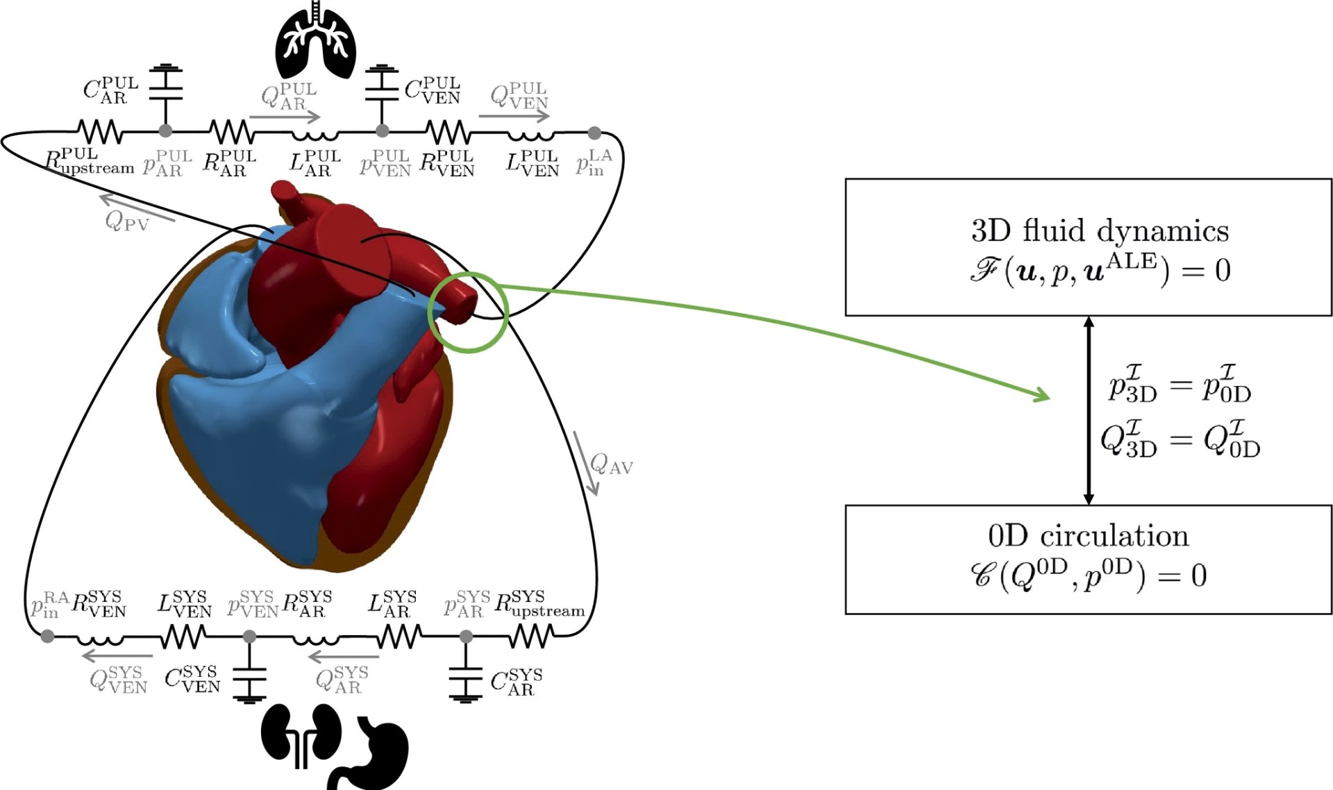 3D-0D Coupling Diagram